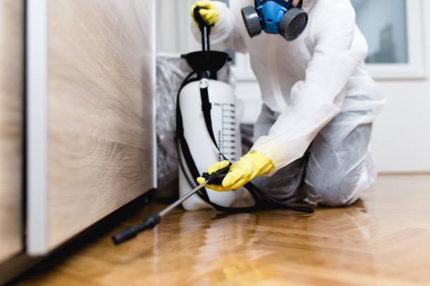 Best Best Pest Control Companies  in Holtsville, NY