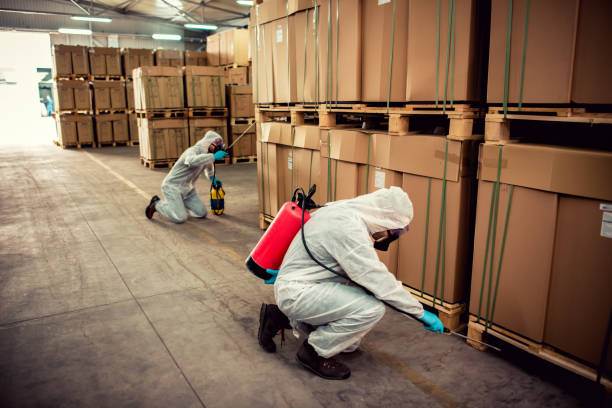 Best Pest Control Treatment  in Holtsville, NY