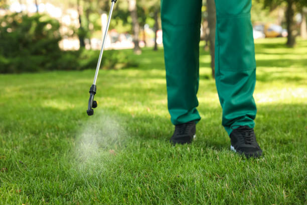 Best Local Pest Control Services  in Holtsville, NY