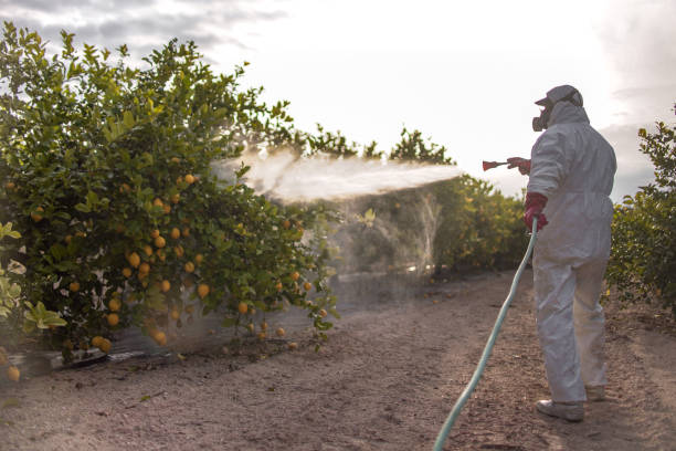 Best Pest Control for Restaurants  in Holtsville, NY