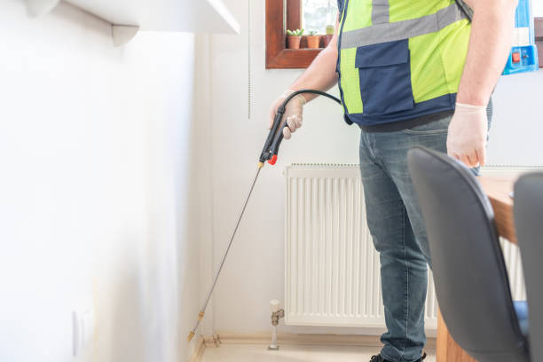 Best Bed Bug Extermination  in Holtsville, NY