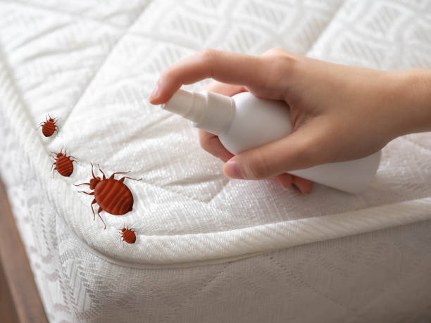 Best Best Pest Control Companies  in Holtsville, NY