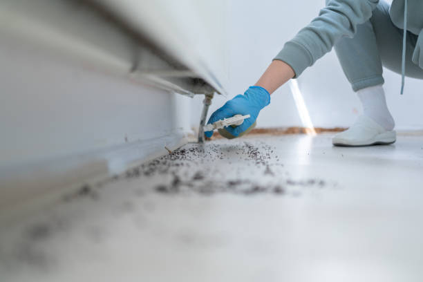 Best Pest Control for Businesses  in Holtsville, NY